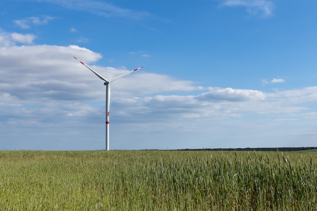 vista de campo com turbina eólica contra céu azul