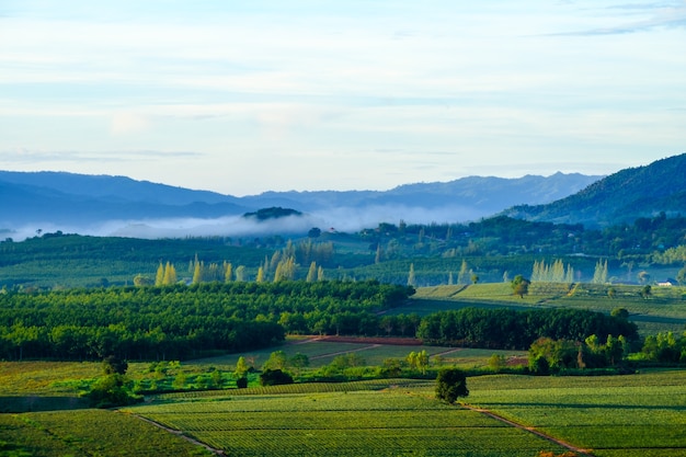 Vista, de, campo, ligado, sol, dia