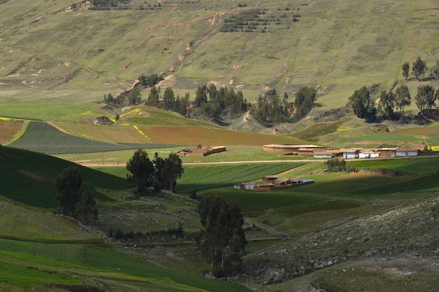 Vista de campos agrícolas no centro andino