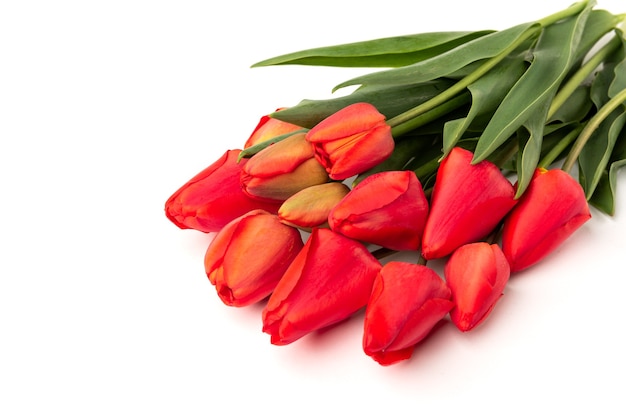 Vista de cima buquê de tulipas vermelhas isolado no branco