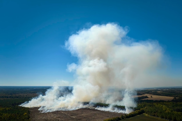 Vista de cima da fumaça densa da floresta e do campo em chamas subindo poluindo o ar Conceito de desastre natural