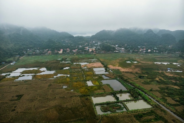 Vista de cima das zonas húmidas da ilha de Cat BA perto do mar em terra Paisagem sombria da manhã do campo do Vietname