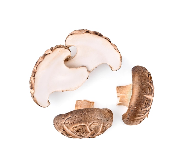 Foto vista de cima dos cogumelos shiitake isolados em fundo branco