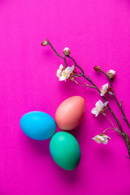 vista de cima ovos pintados em cores com fundo rosa conceito de férias ornamentado colorido primavera novruz