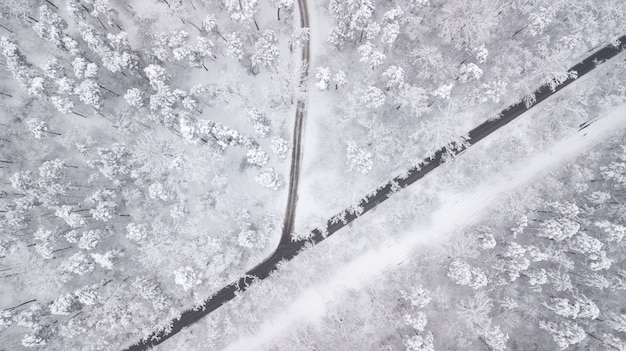 Vista de cima para baixo da floresta no inverno. Paisagem de inverno na floresta. Voando sobre a pista de esqui na floresta de inverno. Cima para baixo vista da estrada de esqui. Drone segue o esquiador ambulante na pista de esqui. Terras de inverno