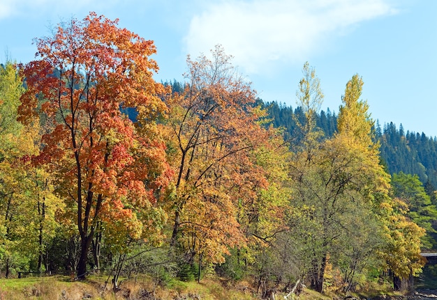 Vista de colina coberta de vegetação florestal de montanha de outono (Ucrânia, Monte dos Cárpatos)