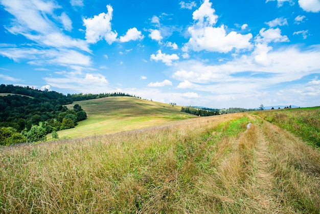 Vista de colinas pitorescas de colinas idílicas com prados florescendo na colina no contexto dos picos das montanhas com florestas de coníferas em um lindo dia ensolarado com céu azul e nuvens