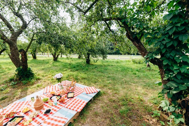 Vista de corpo inteiro do piquenique saudável para as férias de verão com frutas frescas e copos com limonada refrescante deitado no pano xadrez. bom conceito de apetite