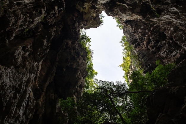 Vista de dentro da caverna de cervos no parque nacional gunung mulu