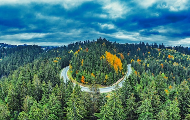 Vista de drone de uma estrada de montanha em uma floresta de outono