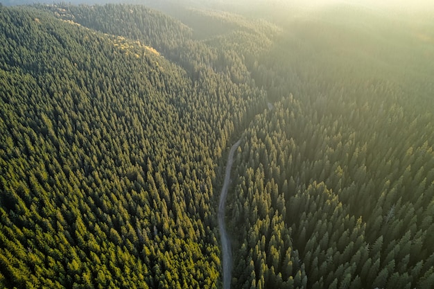 Vista de drone de uma estrada de montanha em uma floresta de outono