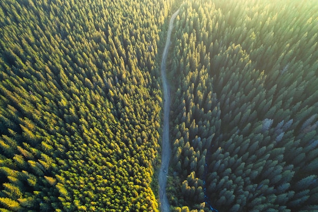 Vista de drone de uma estrada de montanha em uma floresta de outono