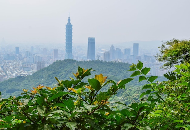 Foto vista de edifícios na cidade