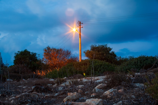 Vista, de, iluminado, poste elétrico