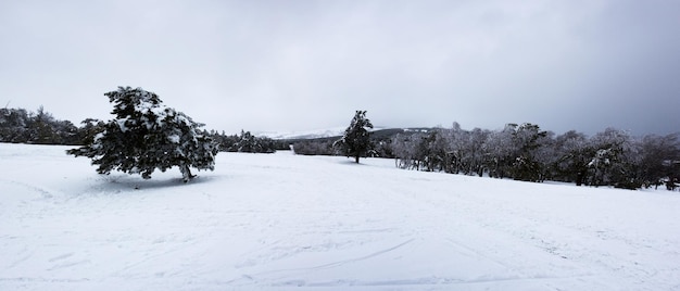 Vista de inverno