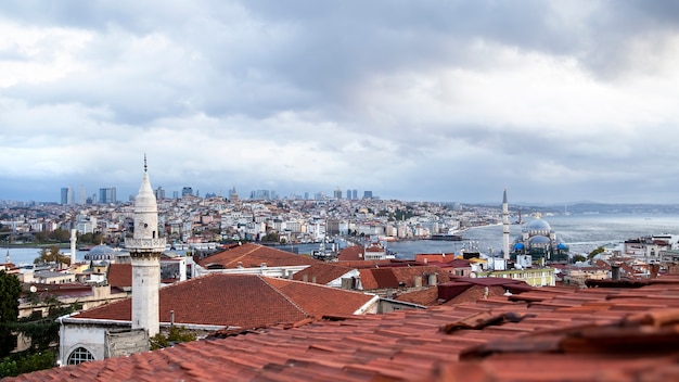 Vista de istambul com tempo nublado, estreito de bósforo dividindo a cidade em duas partes, vários edifícios, nova mesquita, turquia