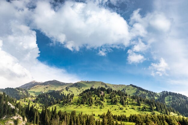 Foto vista de kok zhailau aos picos 3 irmãos e kumbel nas montanhas de almaty no cazaquistão