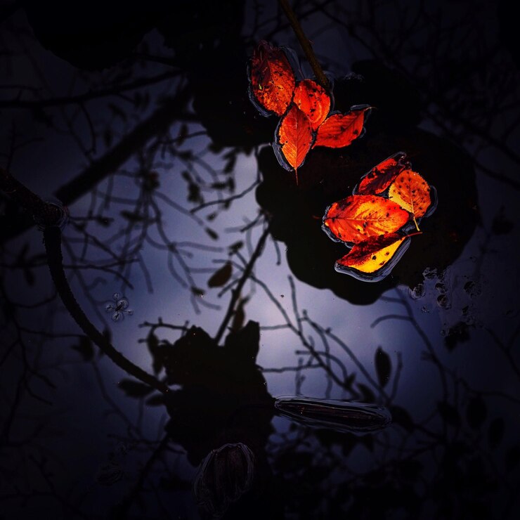 Foto vista de luzes iluminadas à noite