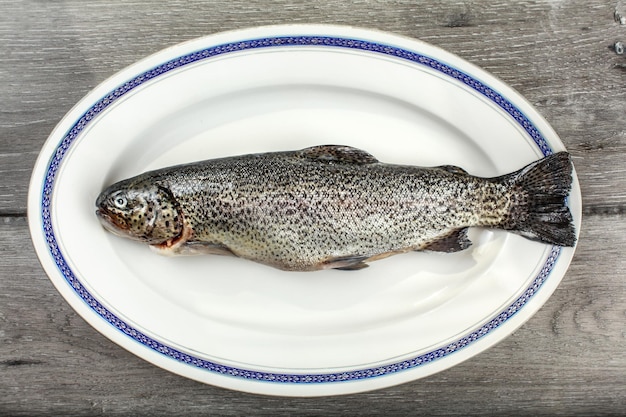 Vista de mesa - peixe truta cru na placa oval vintage com borda azul.