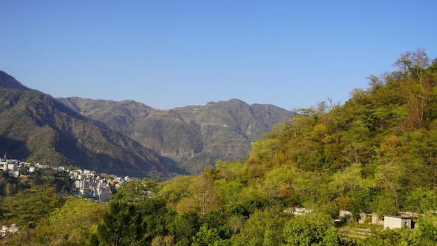 Foto vista de montanhas e árvores