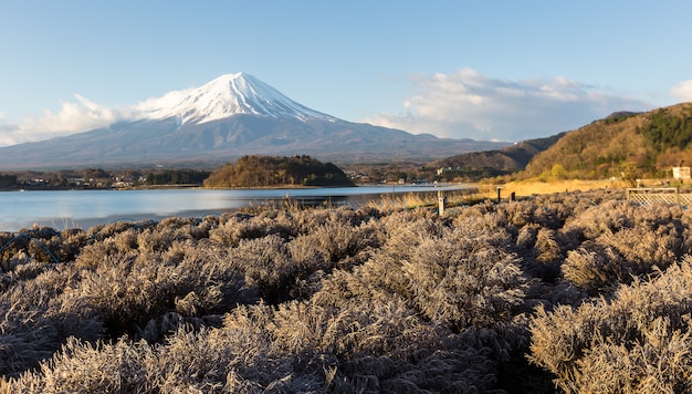 Foto vista, de, mt.fuji, com, campo, de, musgo, em, manhã, em, kawaguchiko, lago, yamanashi, japão