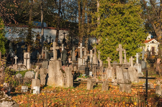 Foto vista de muitas cruzes no cemitério em um dia ensolarado de outono
