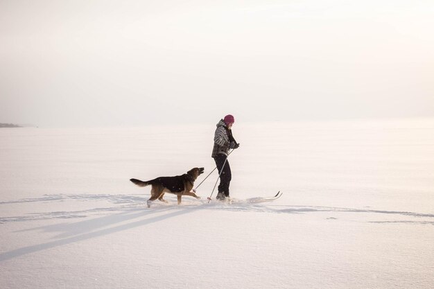 Vista de mulher caminhando com cachorro na praia coberta de neve