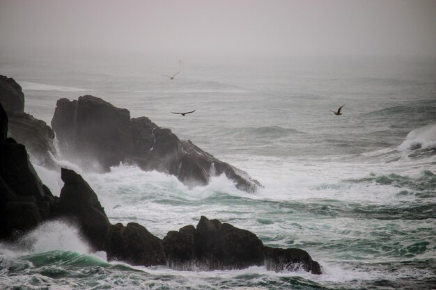 Foto vista de ondas quebrando na costa