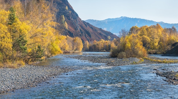 Vista de outono de um rio de montanha Dia ensolarado