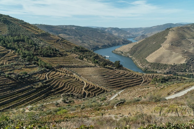 Vista de outono nos terraços de um vinhedo no vale do Duoro no rio Duoro Portugal Destinos de viagem em Portugal