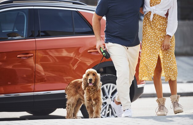 Vista de partículas do lindo casal que passeava com o cachorro ao ar livre perto do carro.