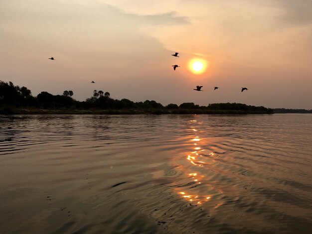 Vista de pássaros voando sobre o mar ao pôr-do-sol