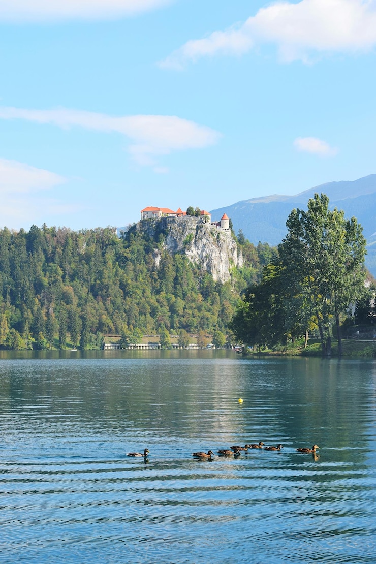 Foto vista de patos nadando no lago contra o céu