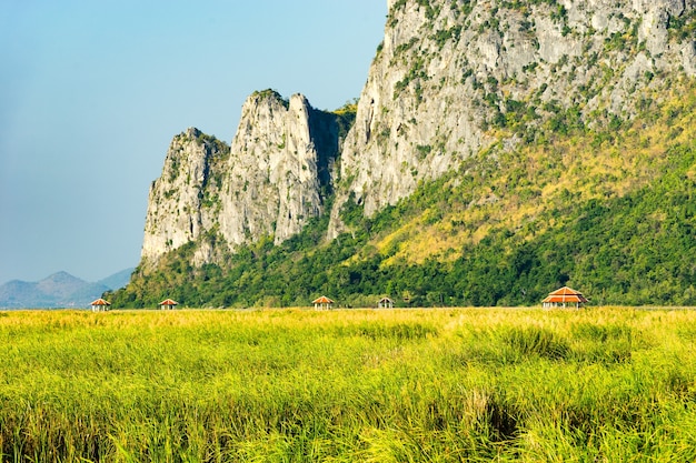 Foto vista, de, pavilhões, de, sam roi, yod, parque nacional