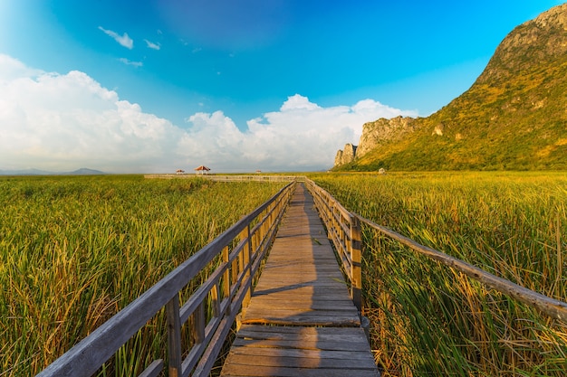 Foto vista, de, pavilhões, de, sam roi, yod, parque nacional