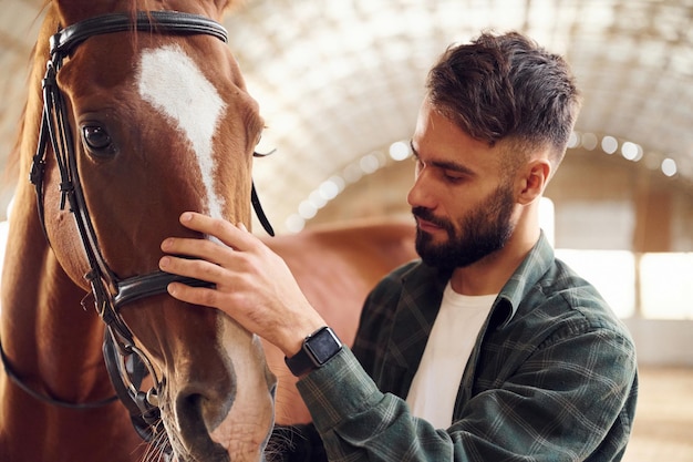 Foto vista de perto tocando o animal jovem com um cavalo está no hangar