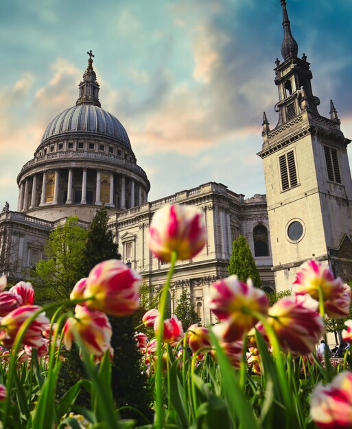 Foto vista de planta com flores contra o edifício