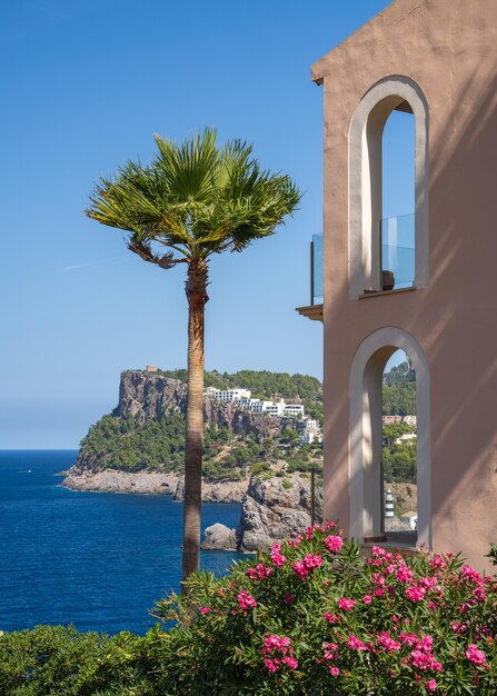 vista de Port de Soller com um pinheiro solitário em primeiro plano Maiorca Espanha Mar Mediterrâneo