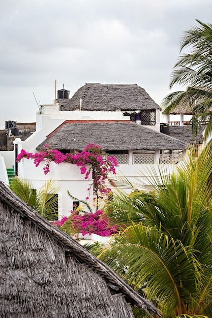 Vista de rua da cidade de Shela na ilha de Lamu, velhas casas brancas em Lamu, Quênia