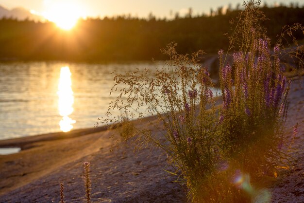 vista de skerries Ladoga ao pôr do sol na República da Carélia. Foto de alta qualidade