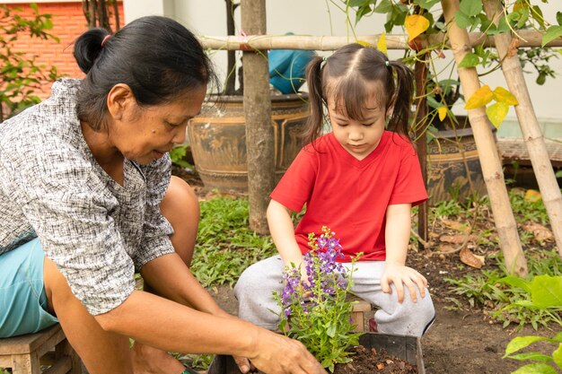 Vista de trás de mãe e filha por plantas em vasos