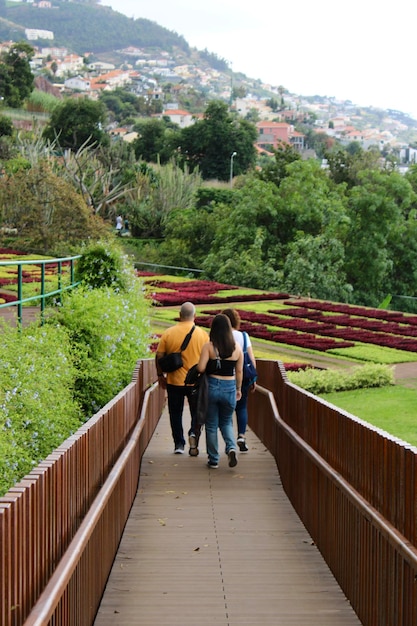 Foto vista de trás de uma família caminhando na ilha de madeira