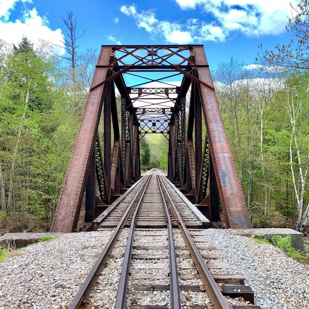 Foto vista de trilhos de trem contra plantas