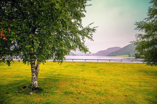 Vista de um belo fiorde em tempo chuvoso Bela natureza da Noruega