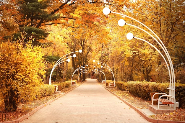 Foto vista de um belo parque em um dia de outono