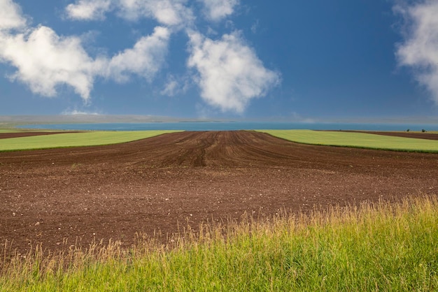 Vista de um campo arado preparado para o plantio de culturas Terra arada com fileiras de sulcos