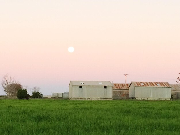 Vista de um campo de grama contra o céu