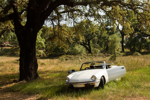 Vista de um carro convertível branco no campo.