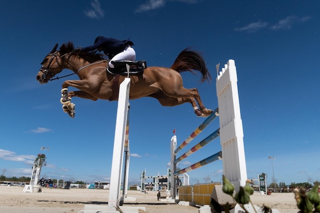 Vista de um cavalo e seu cavaleiro em pleno salto em uma competição equestre