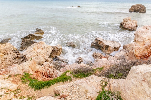 Vista, de, um, costa rochosa, em, a, manhã